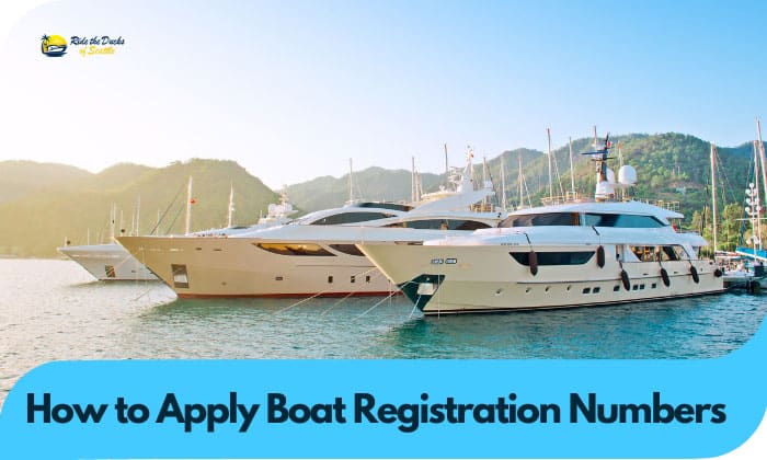 How to Apply Boat Registration Numbers Correctly?