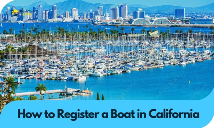 How to Register a Boat in California? – 7 Simple Steps